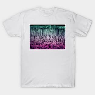 Retina layers, SEM (C018/0521) T-Shirt